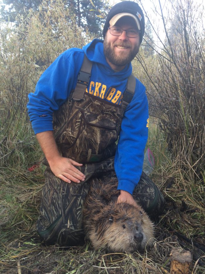 Drew Howing with beaver at Duck Creek in Hebgen Lake Basin